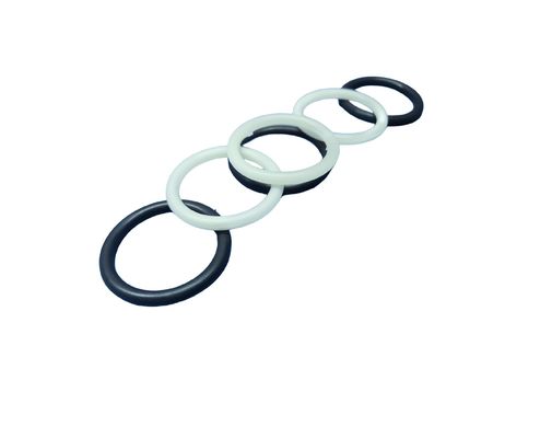 Прочность на протяжение 20 МПа FFKM O Кольца с устойчивостью к старению и экстремальной температуре для суровых условий