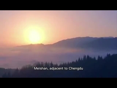FKM ДЛЯ ПРИМЕНЕНИЯ КОРОБКИ ПЕРЕДАЧ СОПОЛИМЕР ТЕРПОЛИМЕР ПРЕДКОМПАУД И КОМПАУНД